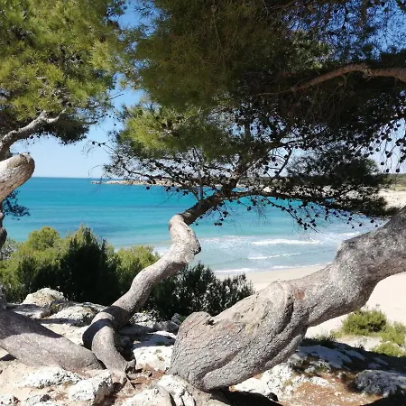 Apartment Studio Vue Mer Et Chateau En Provence Sausset-les-Pins